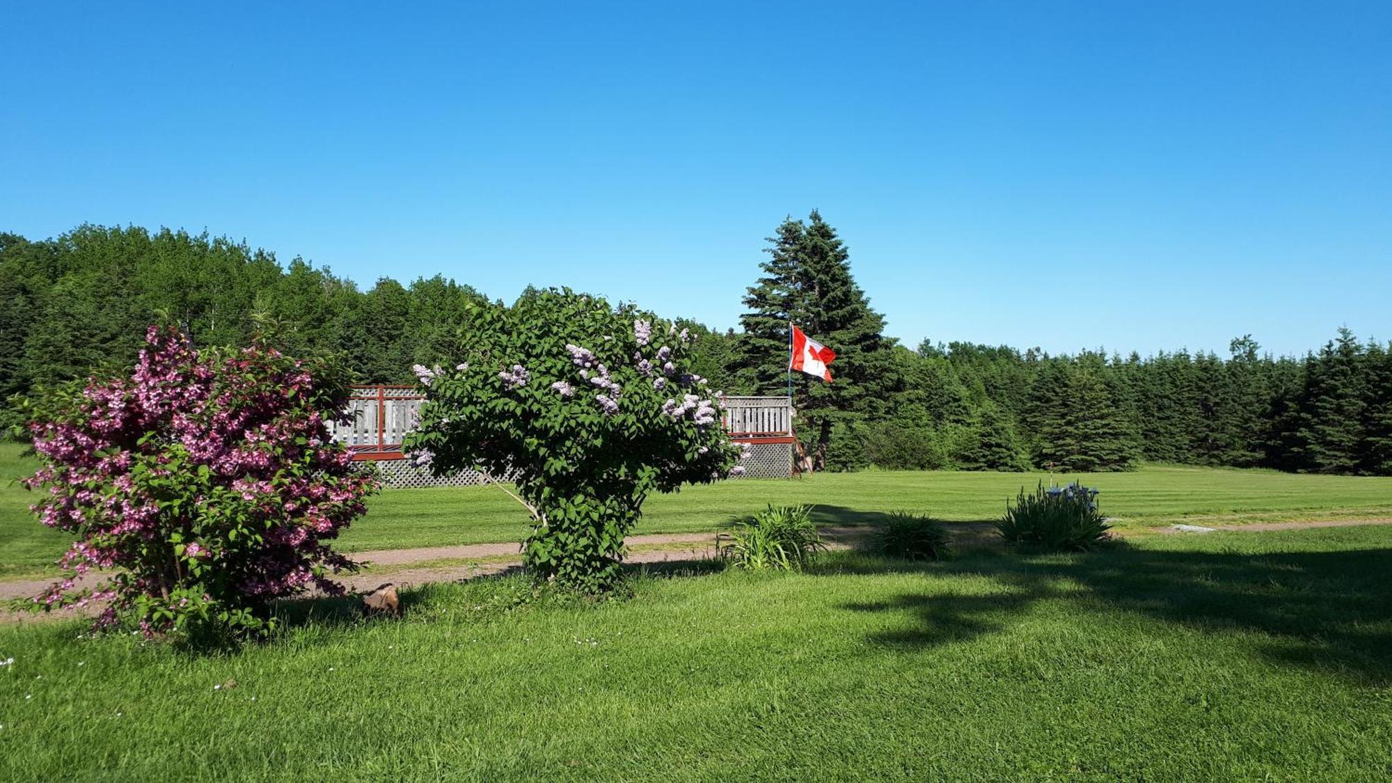 Rustico Acres Cottages Норт Рустико Екстериор снимка